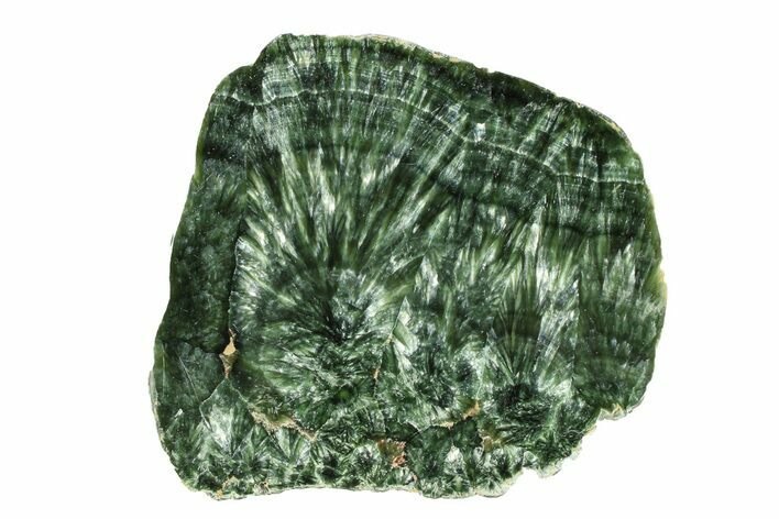 Polished Seraphinite Section - Korshunovkiy Mine, Siberia #301573